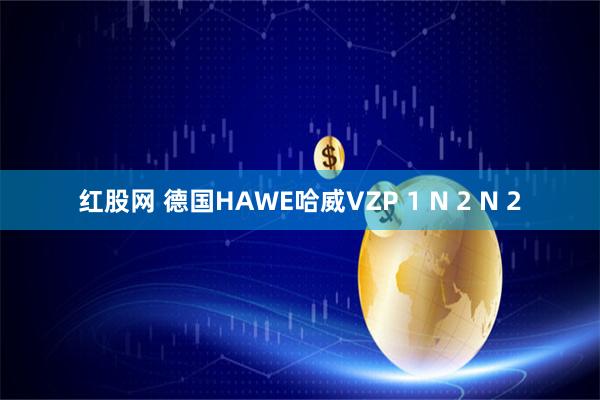 红股网 德国HAWE哈威VZP 1 N 2 N 2
