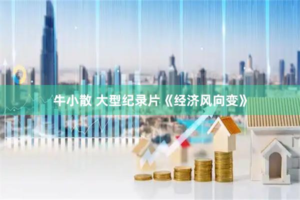 牛小散 大型纪录片《经济风向变》