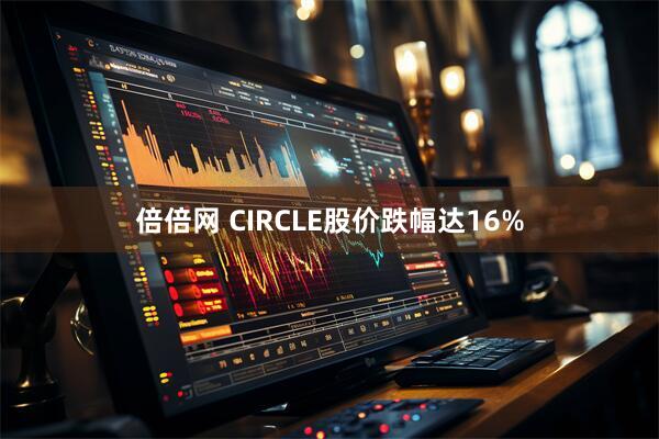 倍倍网 CIRCLE股价跌幅达16%