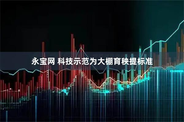 永宝网 科技示范为大棚育秧提标准