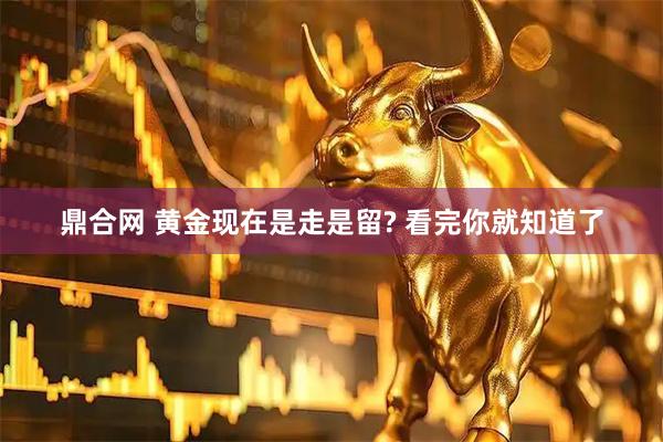 鼎合网 黄金现在是走是留? 看完你就知道了