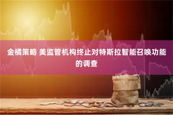 金橘策略 美监管机构终止对特斯拉智能召唤功能的调查