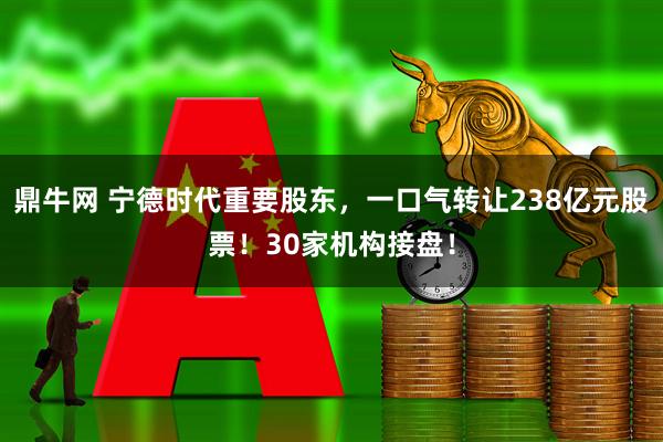鼎牛网 宁德时代重要股东，一口气转让238亿元股票！30家机构接盘！