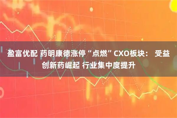 盈富优配 药明康德涨停“点燃”CXO板块： 受益创新药崛起 行业集中度提升