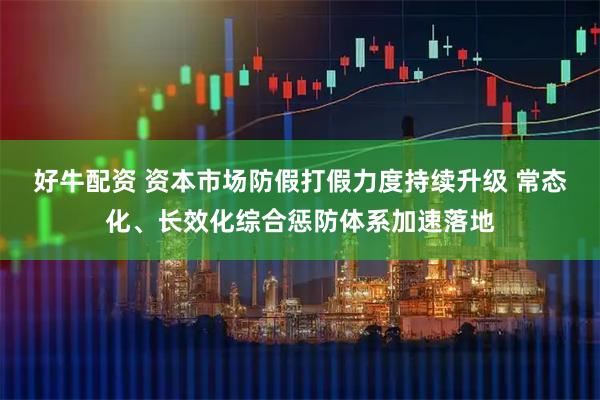 好牛配资 资本市场防假打假力度持续升级 常态化、长效化综合惩防体系加速落地